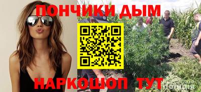 дурь Камышлов